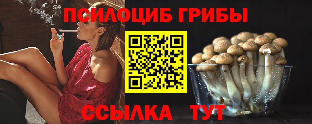 Псилоцибиновые грибы ЛСД  Псилоцибиновые грибы Psilocybine cubensis  Оренбург  Вход с VPN 